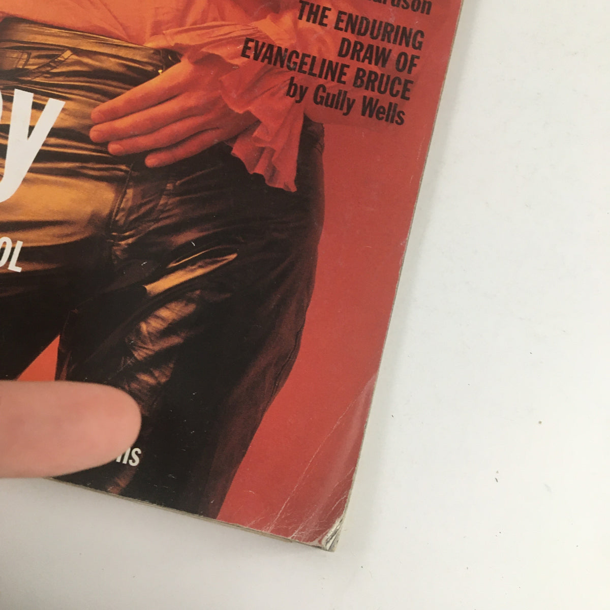Cover of Vanity Fair February 1995 featuring Brad Pitt as Hollywood's sex symbol, showcasing 90s fashion with a focus on glamor and style.