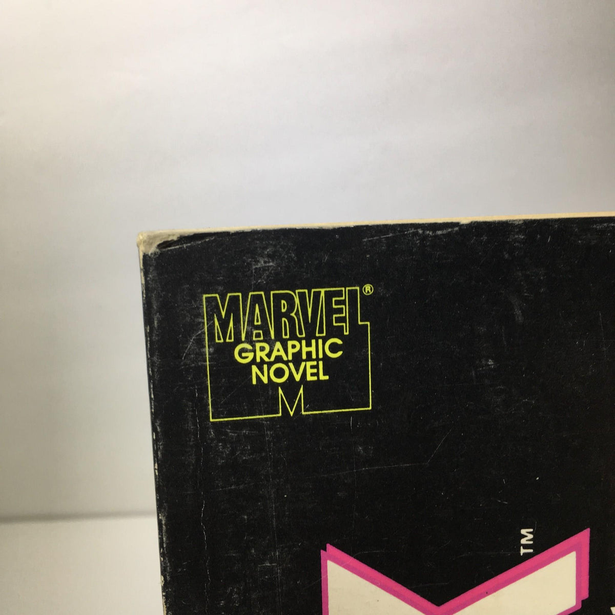 Close-up of the logo from Stan Lee Presents: The Sensational She-Hulk magazine, featuring MARVEL GRAPHIC NOVEL branding.