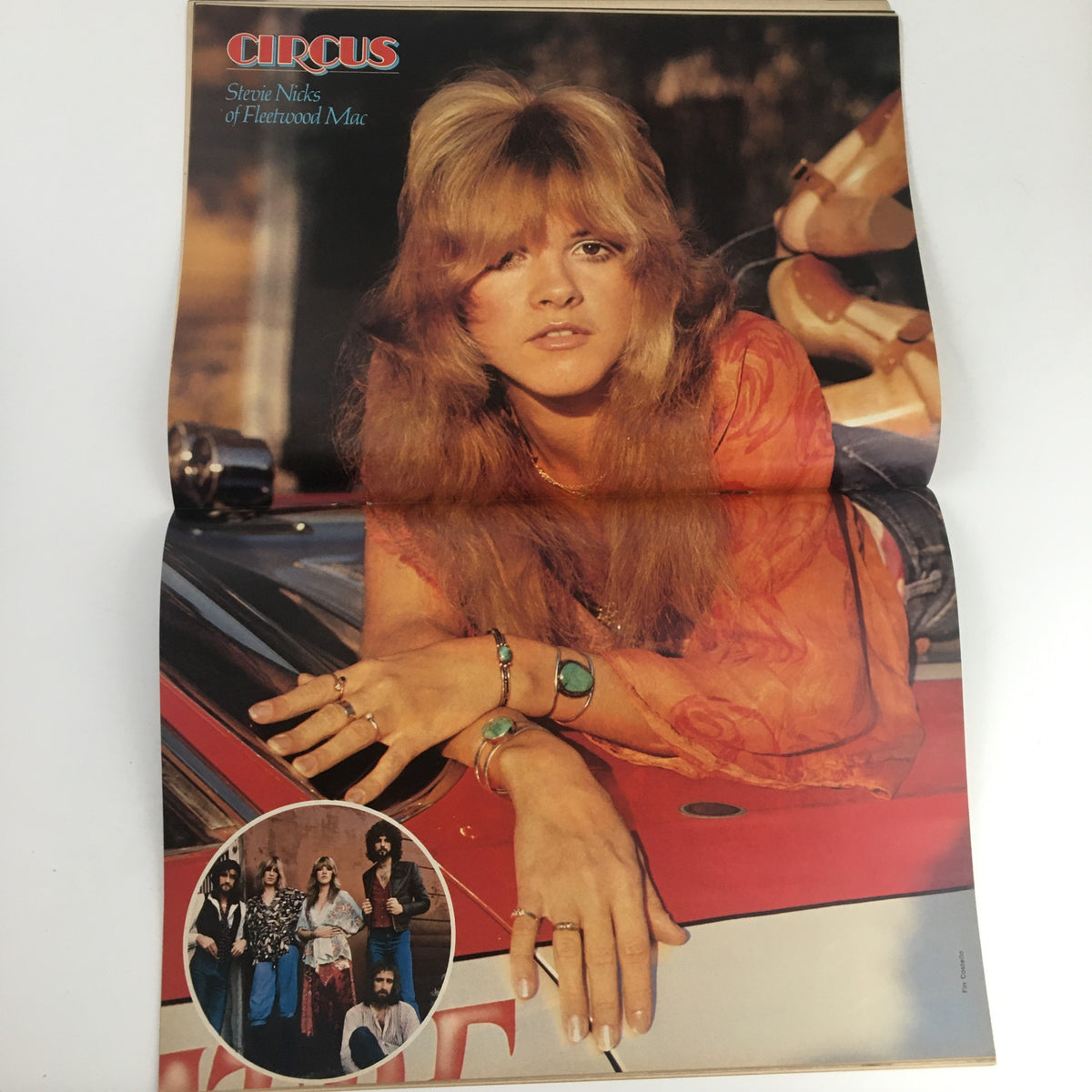 Fold-out poster of Stevie Nicks from Circus Magazine January 17, 1977, capturing her iconic look with her band Fleetwood Mac. A rare collectible for fans and vintage magazine collectors.