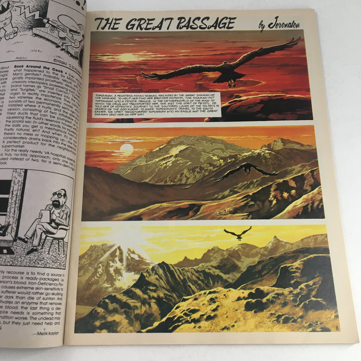 Illustration from Heavy Metal Magazine August 1984 titled 'The Great Passage' by Jeronaton, featuring majestic mountain landscapes and soaring eagles.
