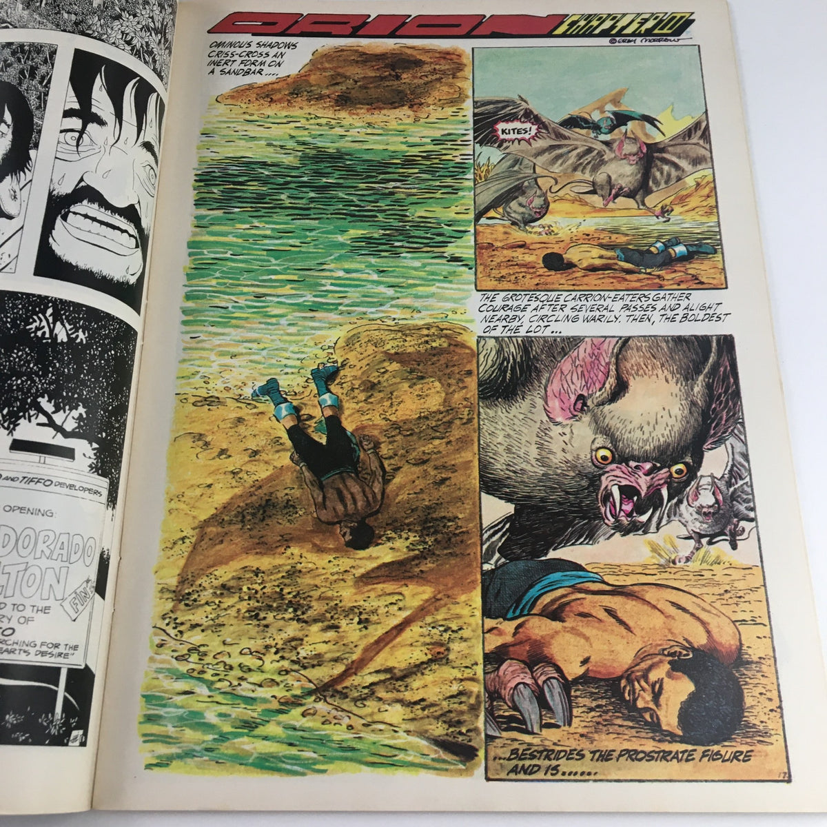 Artwork from the story 'Orion' in Heavy Metal Magazine May 1978, illustrating a dramatic moment with vivid colors.
