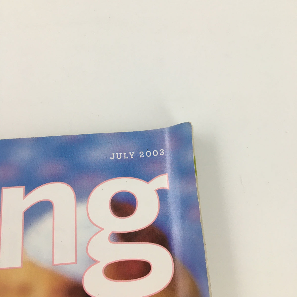 Martha Stewart Living July 2003 Magazine