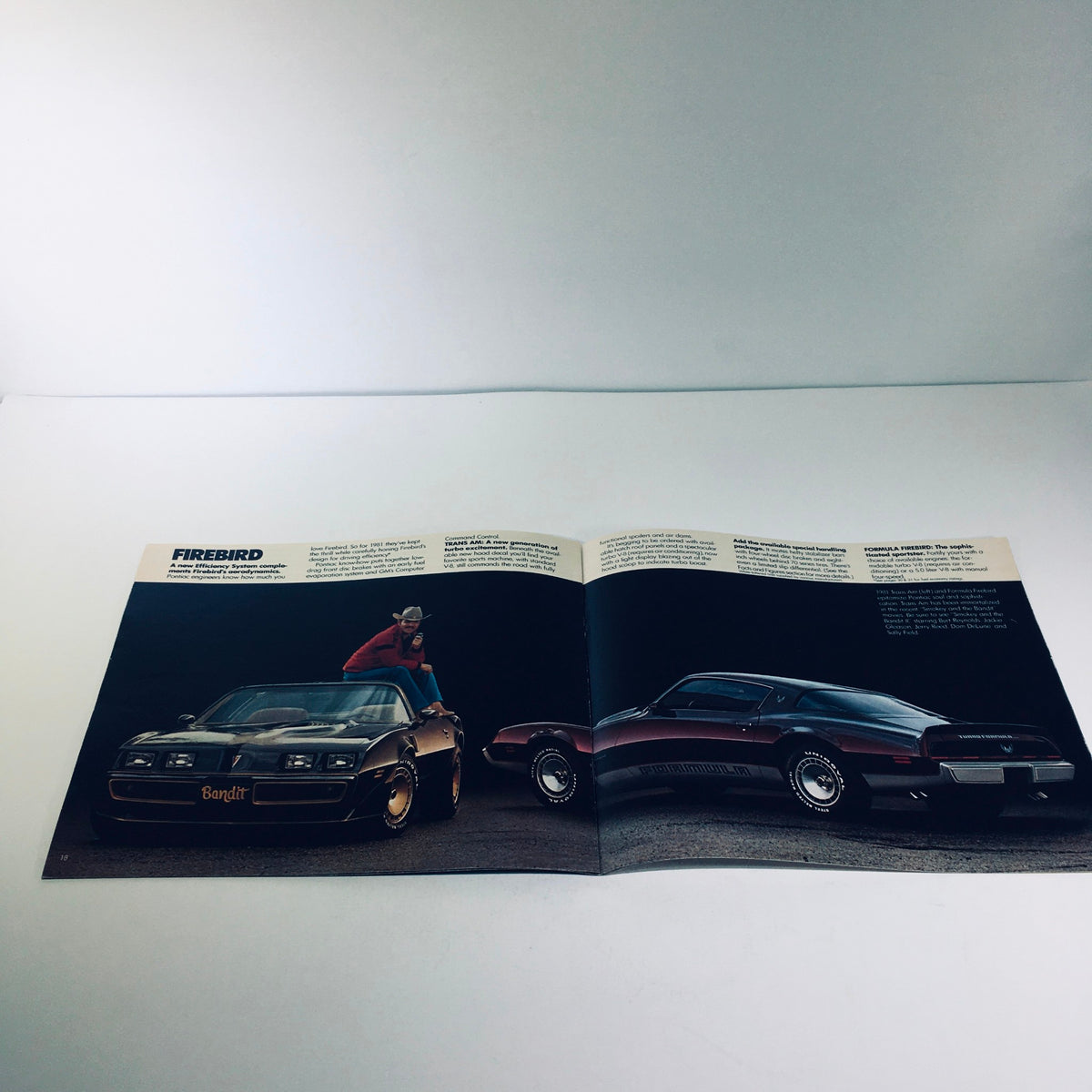 Interior spread of the 1981 Pontiac Firebird & Le Mans GM-Built Engines Roto in U.S.A Car Sale Brochure, highlighting the Pontiac Firebird with a promotional model.