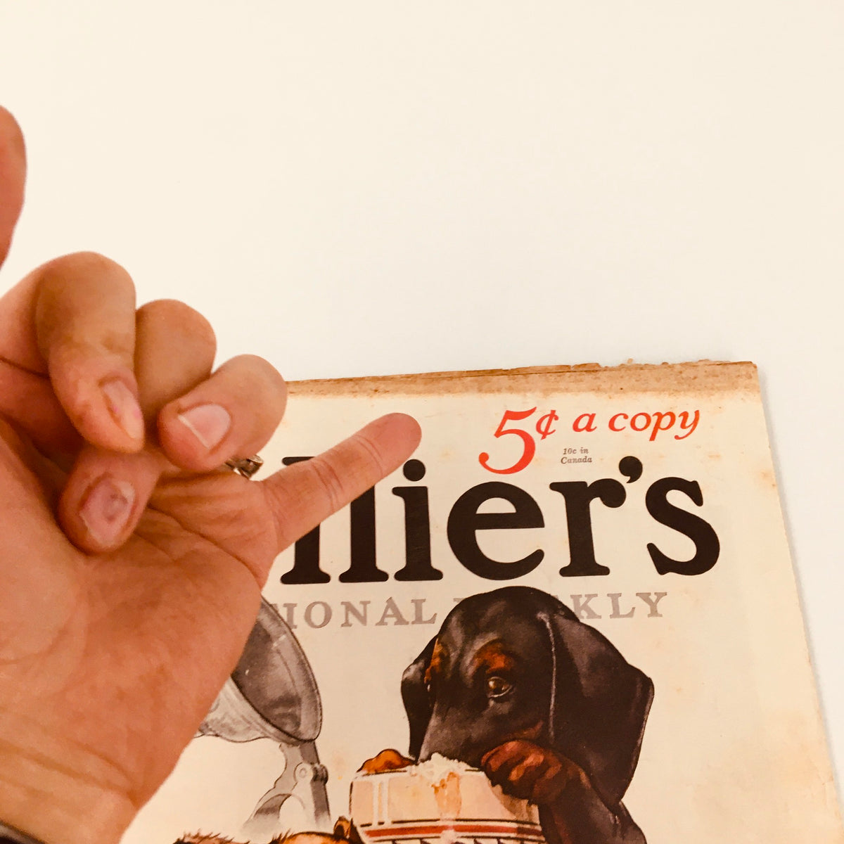 Hand holding a vintage Collier's Magazine from April 21, 1934, highlighting the price on the cover, featuring puppies.