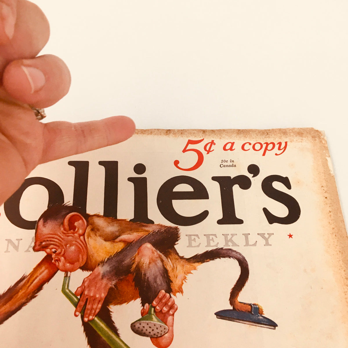 Close-up of the cover of VTG Collier's Magazine November 17, 1934, highlighting the price '5¢ a copy' and the playful illustration of a monkey.