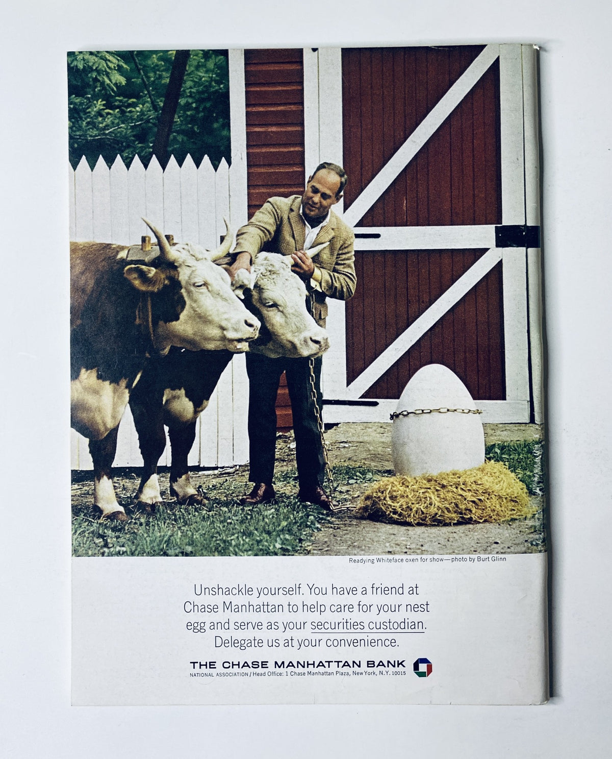 Advertisement page from The New Yorker Magazine August 20, 1966 showcasing a whimsical scene with a man and cows, promoting Chase Manhattan Bank services.