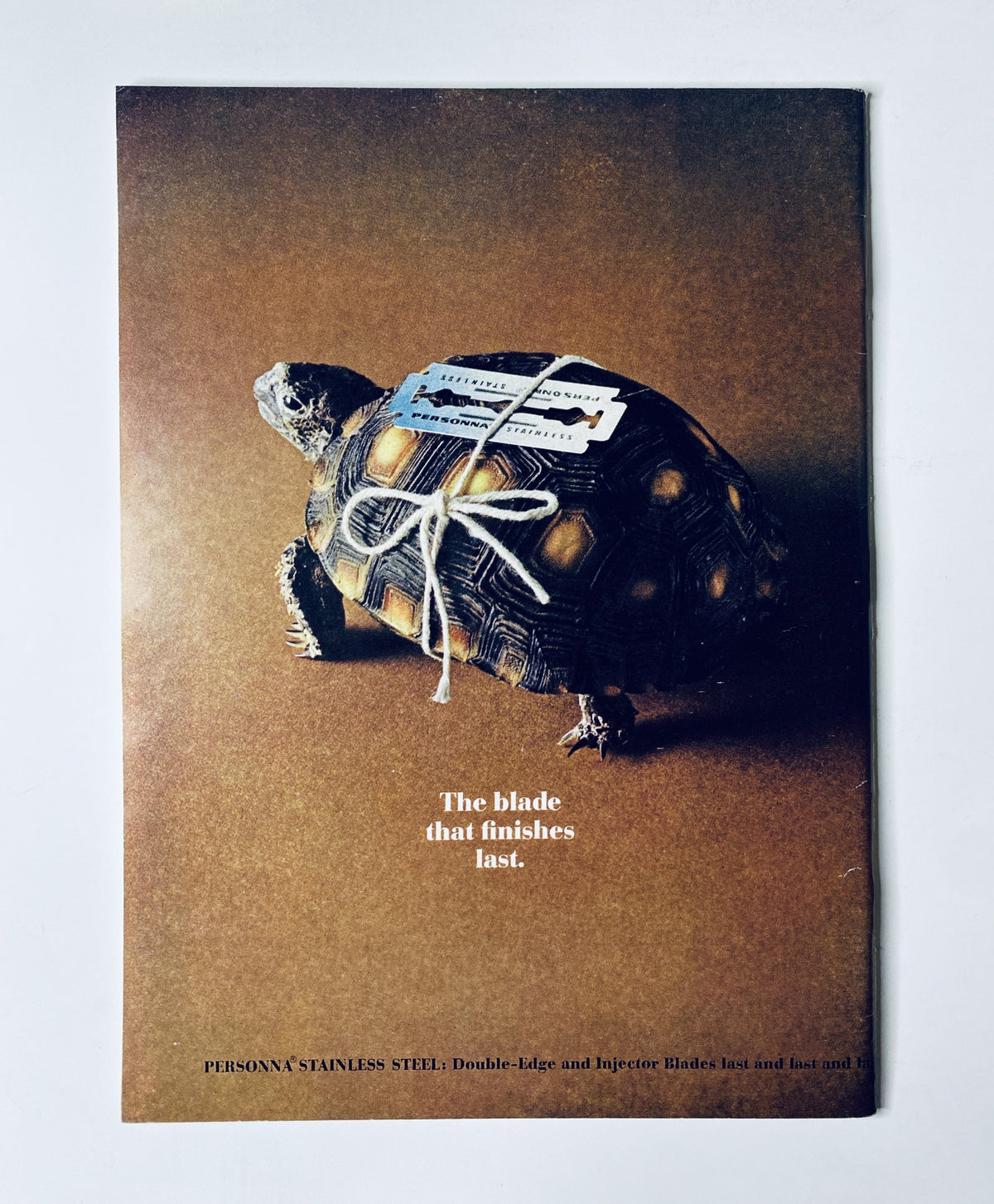Advertorial featuring a tortoise with a tag, titled 'The blade that finishes last,' from Persona Stainless Steel in The New Yorker Magazine January 22, 1966.