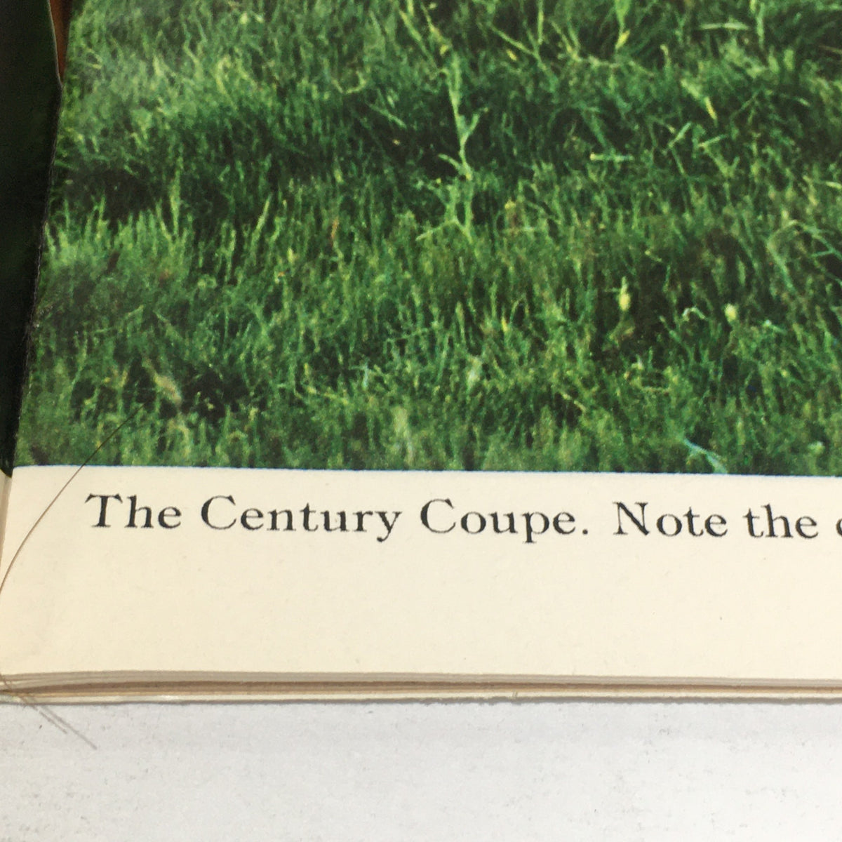 Page in the vintage 1976 Buick The Century Coupe catalog highlighting the Century Coupe with grass background and caption.