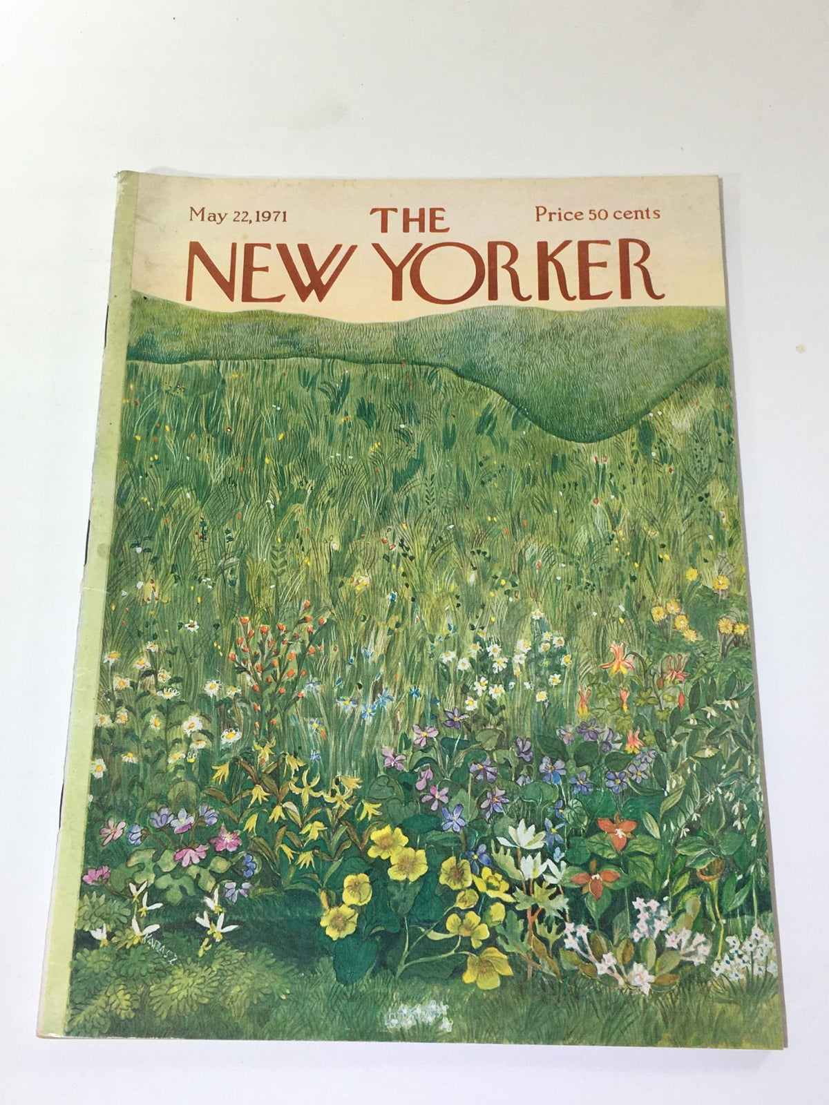 Cover of The New Yorker, May 22 1971, featuring a vibrant illustration of a grassy field with colorful flowers, showcasing the artistic style of Ilonka Karasz.