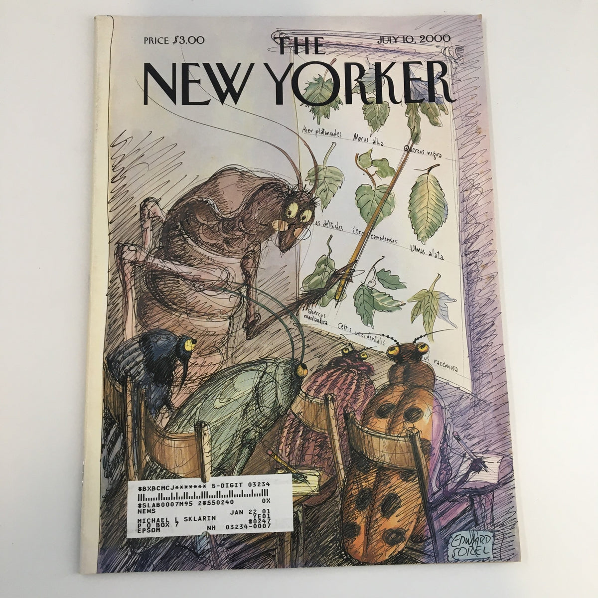 Cover of The New Yorker Full Magazine July 10 2000, themed 'Summer School', illustrated by Edward Sorel featuring a unique artistic depiction of insects and plants.