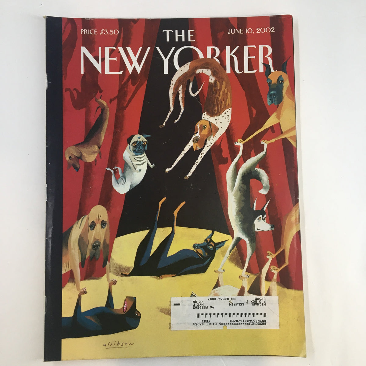 Cover of The New Yorker magazine from June 10, 2002, featuring playful dogs illustrated by Mark Ulriksen with vibrant colors and a forest background.