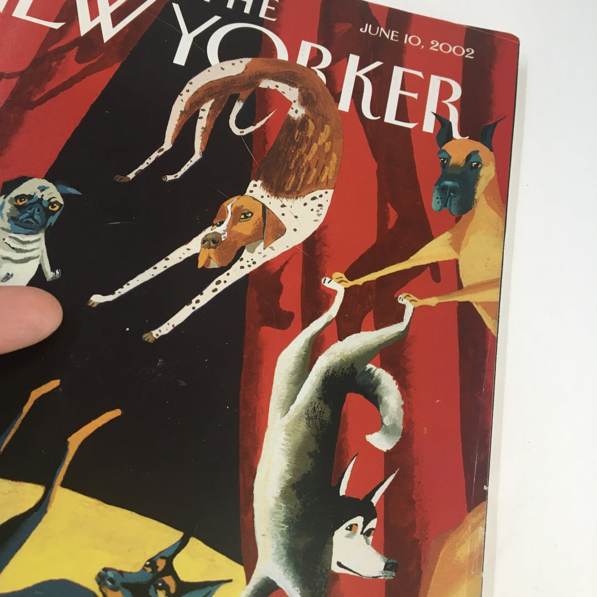 Close-up of The New Yorker magazine cover dated June 10, 2002, showcasing detailed artistic illustrations of various dogs by Mark Ulriksen.
