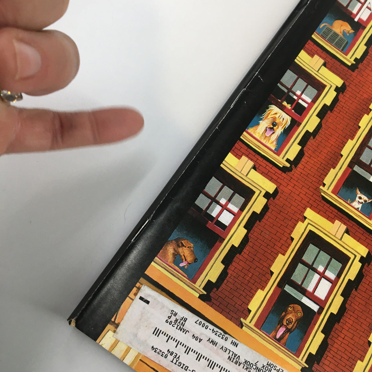 Close-up view of the spines and address label on the front cover of The New Yorker magazine from August 13, 2007, showcasing artwork by Mark Ulriksen.