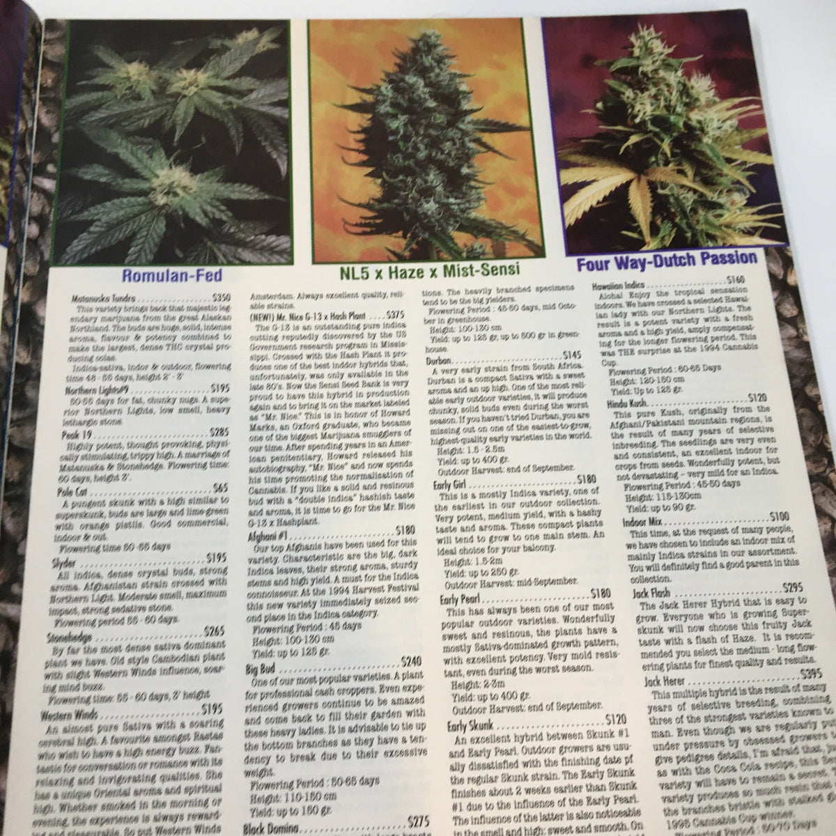 Cannabis plant varieties with descriptions from Cannabis Culture Magazine November 1999, featuring Romulan-Fed and other strains.