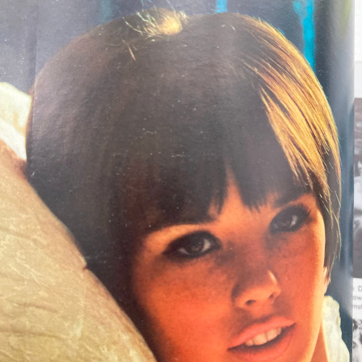 Close-up image from VTG Playboy Magazine September 1966 showcasing Dianne Chandler, highlighting her classic beauty and iconic hairstyle.