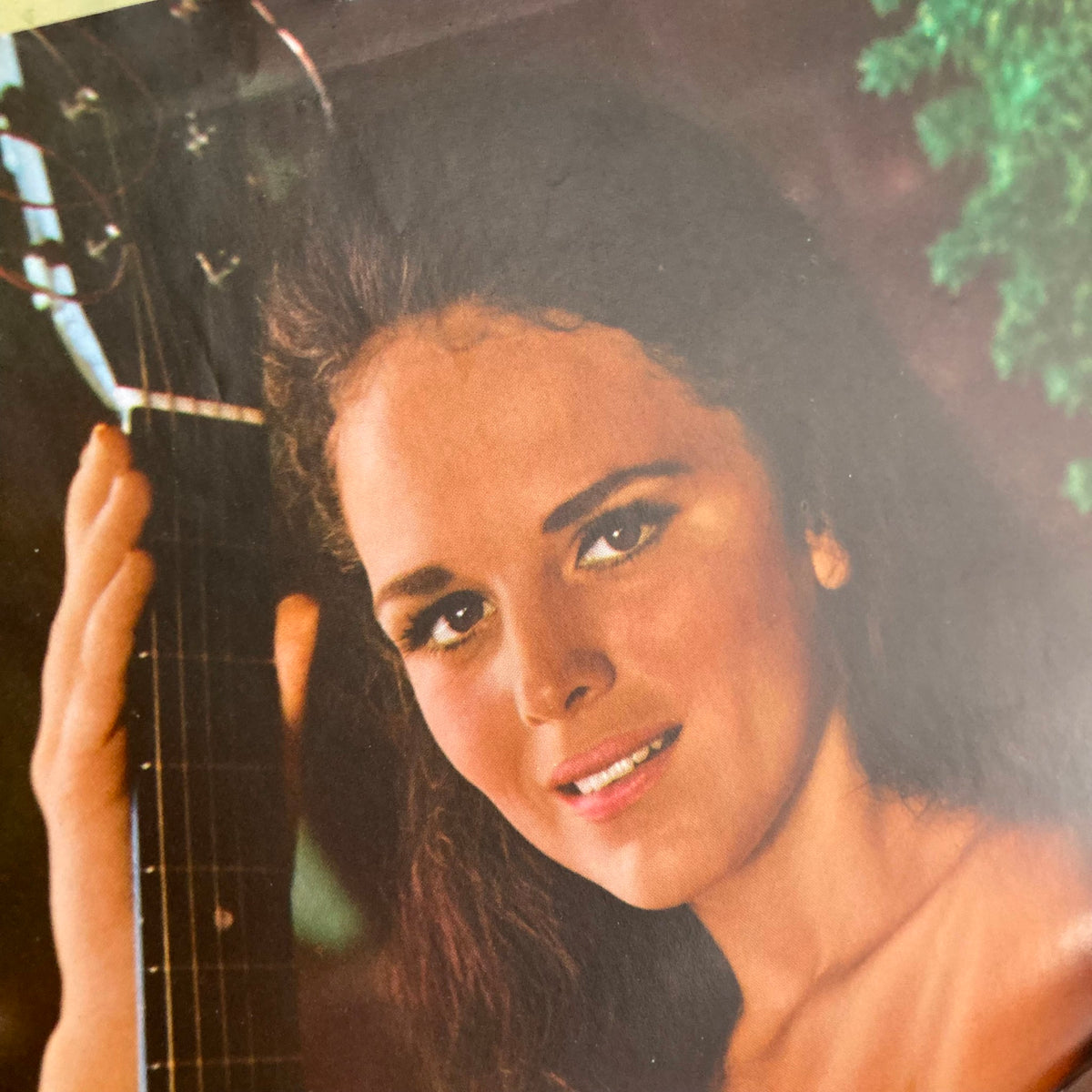 Close-up of Playmate Michelle Hamilton from VTG Playboy Magazine March 1968, elegantly posing with a guitar, highlighting her beauty and charm.