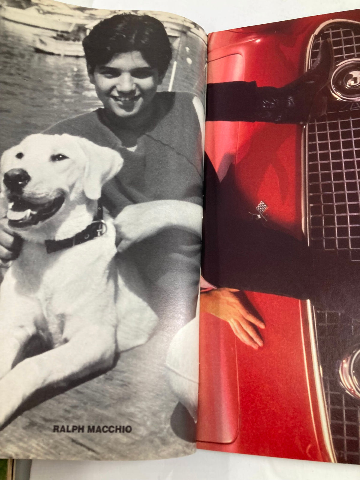 Vintage magazine featuring Ralph Macchio with a dog, from VTG All Star Color Centerfolds February 1985 Vol 31 #6 Sting w Poster No Label.