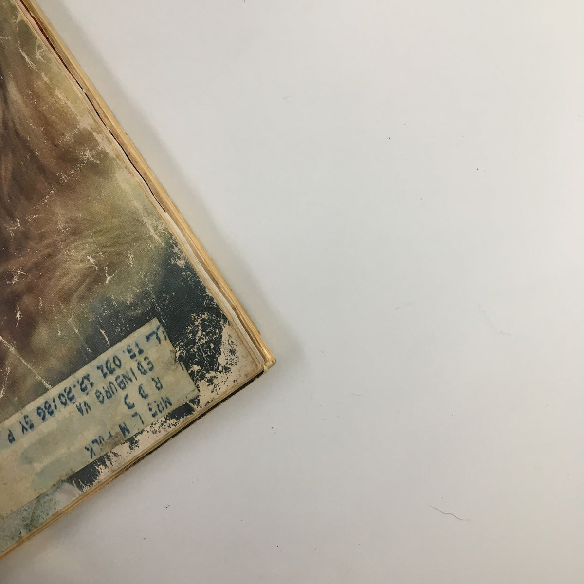 Corner detail of VTG True Story Magazine highlighting the vintage publication's spine and wear, with an address label on the front.