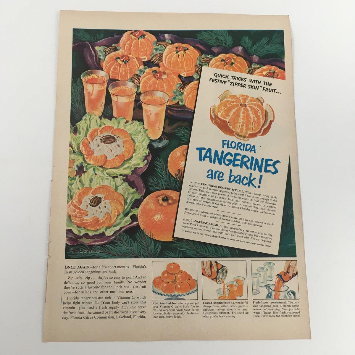 Florida Tangerines Vintage Print Ad highlighting vibrant artwork of tangerines and festive dishes, with the tagline 'Florida Tangerines are back!,' enhancing vintage advertising aesthetics.