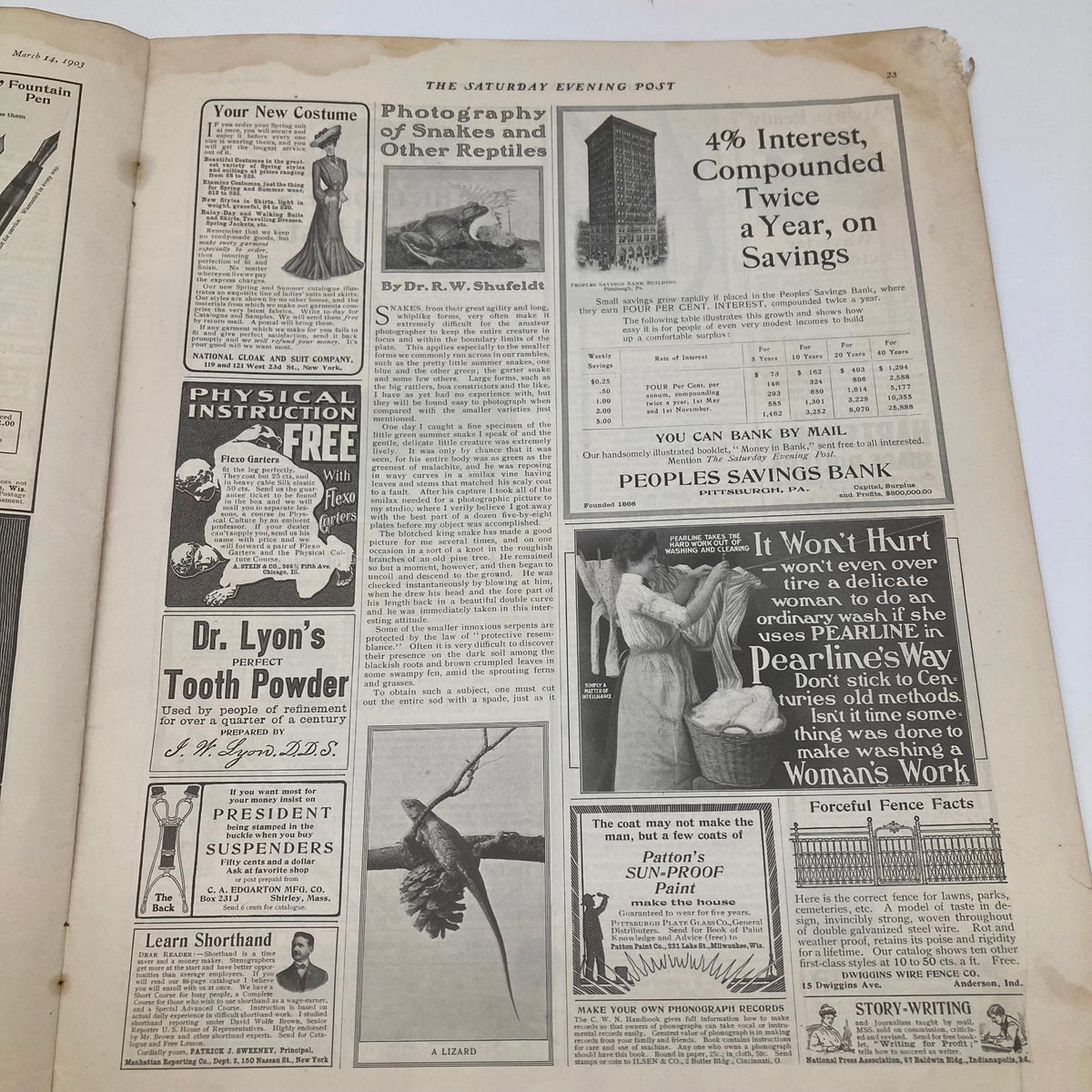Saturday Evening Post Illustrated Cover March 14 1903 featuring advertisements including a physical instruction ad and other vintage promotional content.