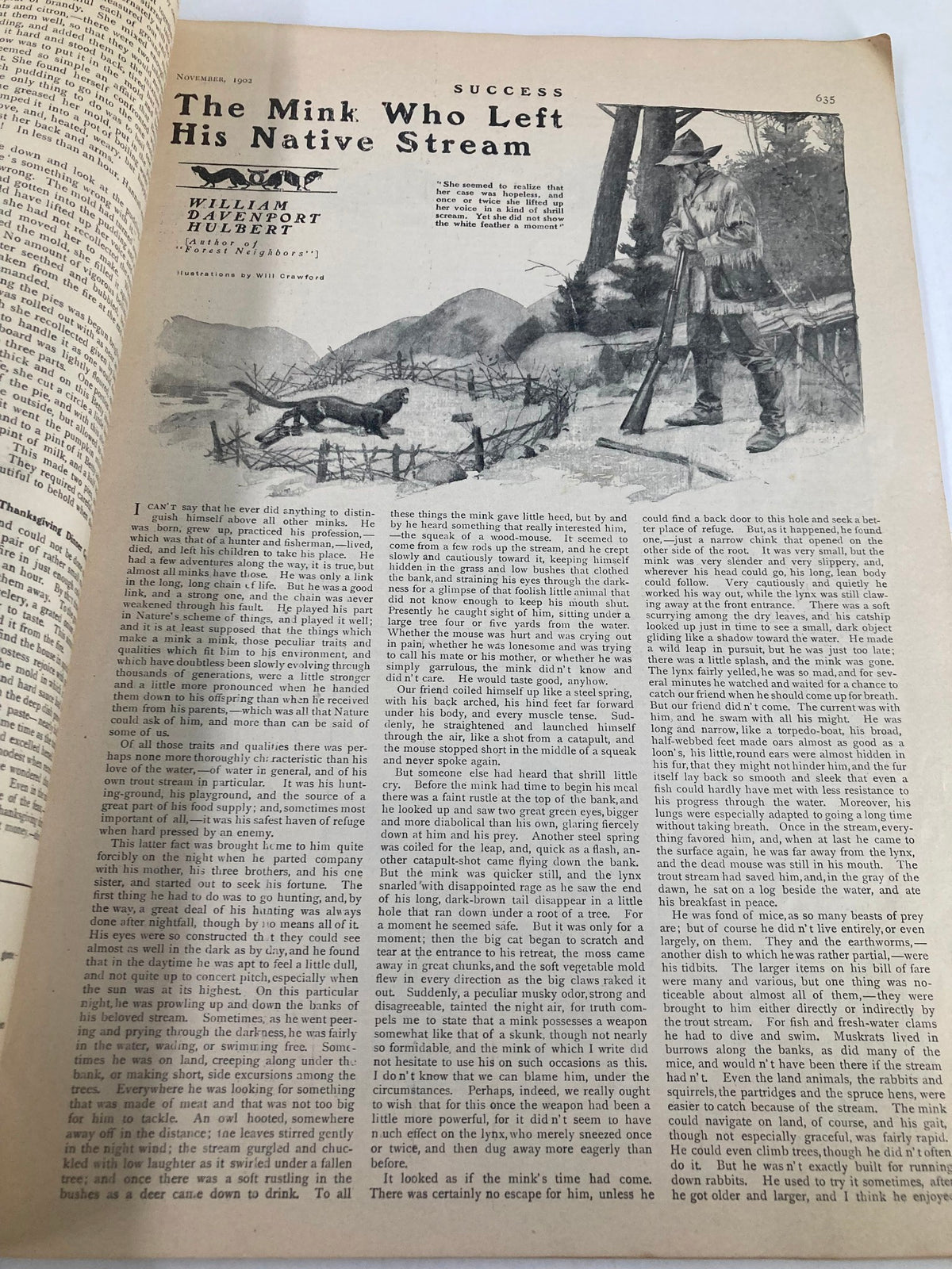Page from VTG Success Magazine, November 1902 showcasing the article 'The Mink Who Left His Native Stream' accompanied by an illustration.
