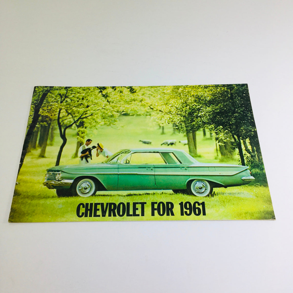 1961 Chevrolet Biscayne Series Station Wagon auto brochure featuring a vintage green car parked on grass with people and cattle in the background, showcasing the Chevrolet for 1961 theme.