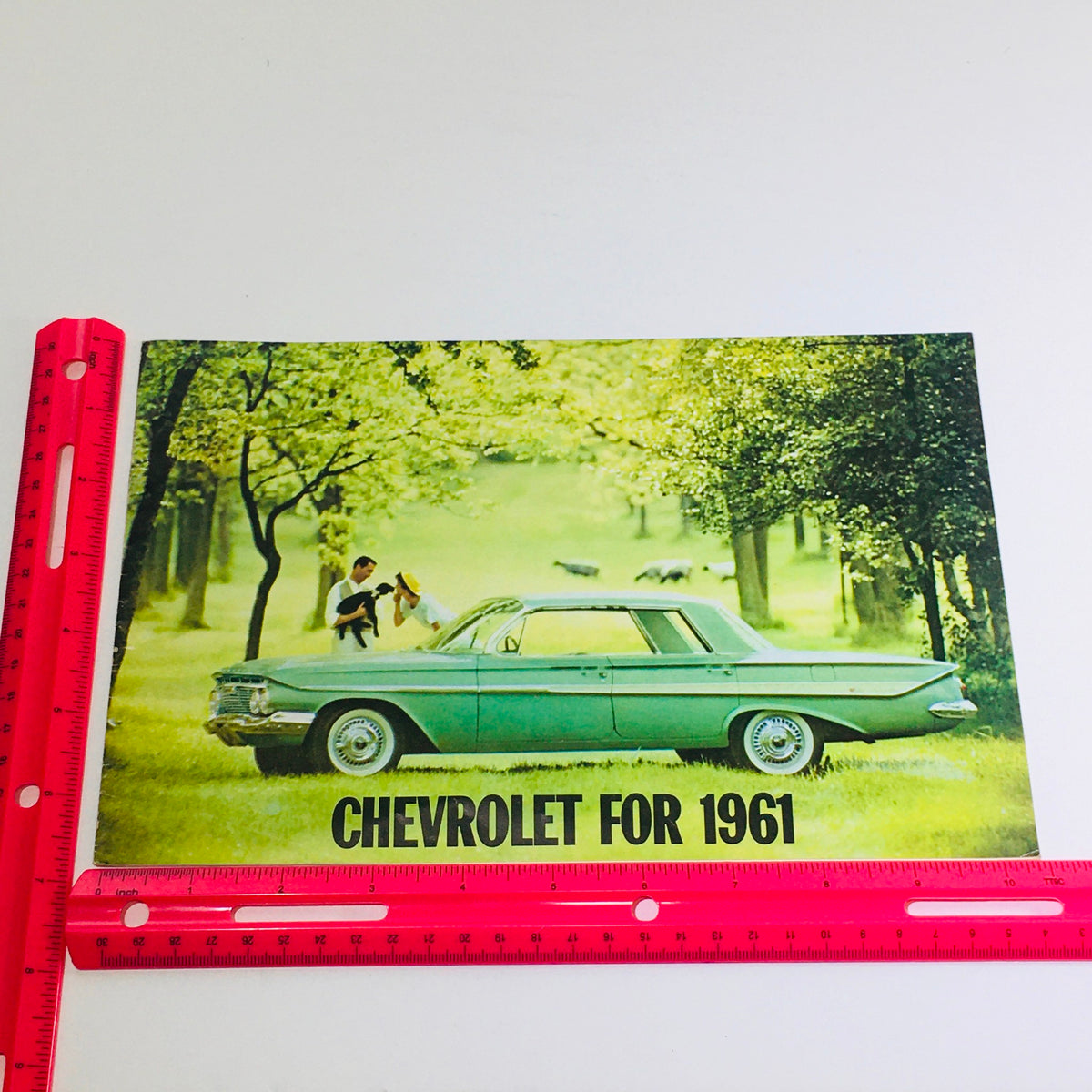 1961 Chevrolet Biscayne Series Station Wagon advertising image featuring a green sedan in a lush outdoor setting with a couple engaged in conversation, highlighting the car's stylish design.