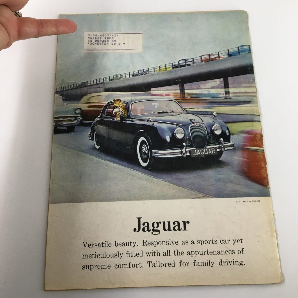 Back cover of Sports Car Illustrated Magazine January 1959 featuring a Jaguar advertisement, illustrating the luxury and performance of classic cars from the era.