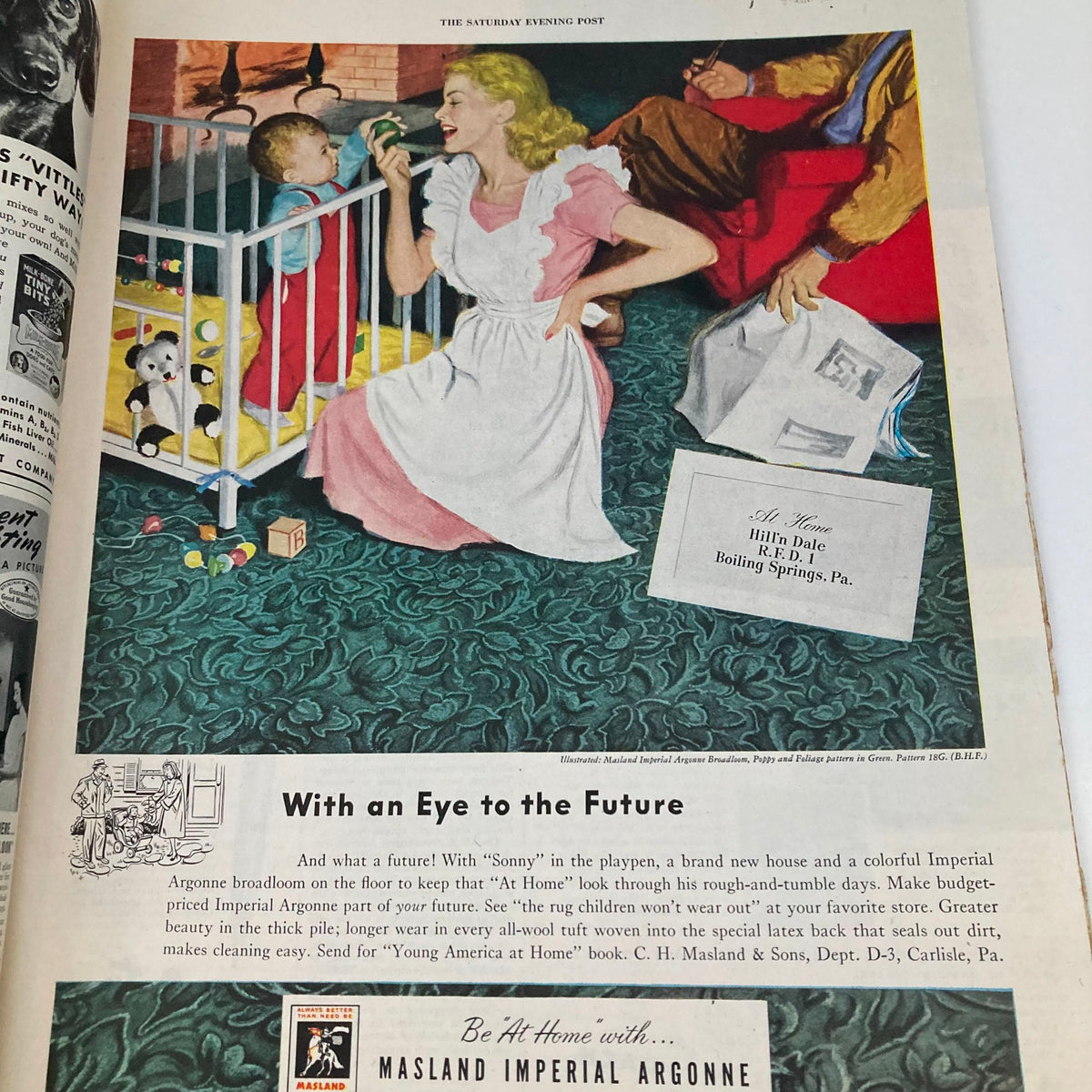 Saturday Evening Post Magazine February 21 1948 Cover featuring a colorful illustration of a mother interacting with her child at home, showcasing mid-20th-century family life.