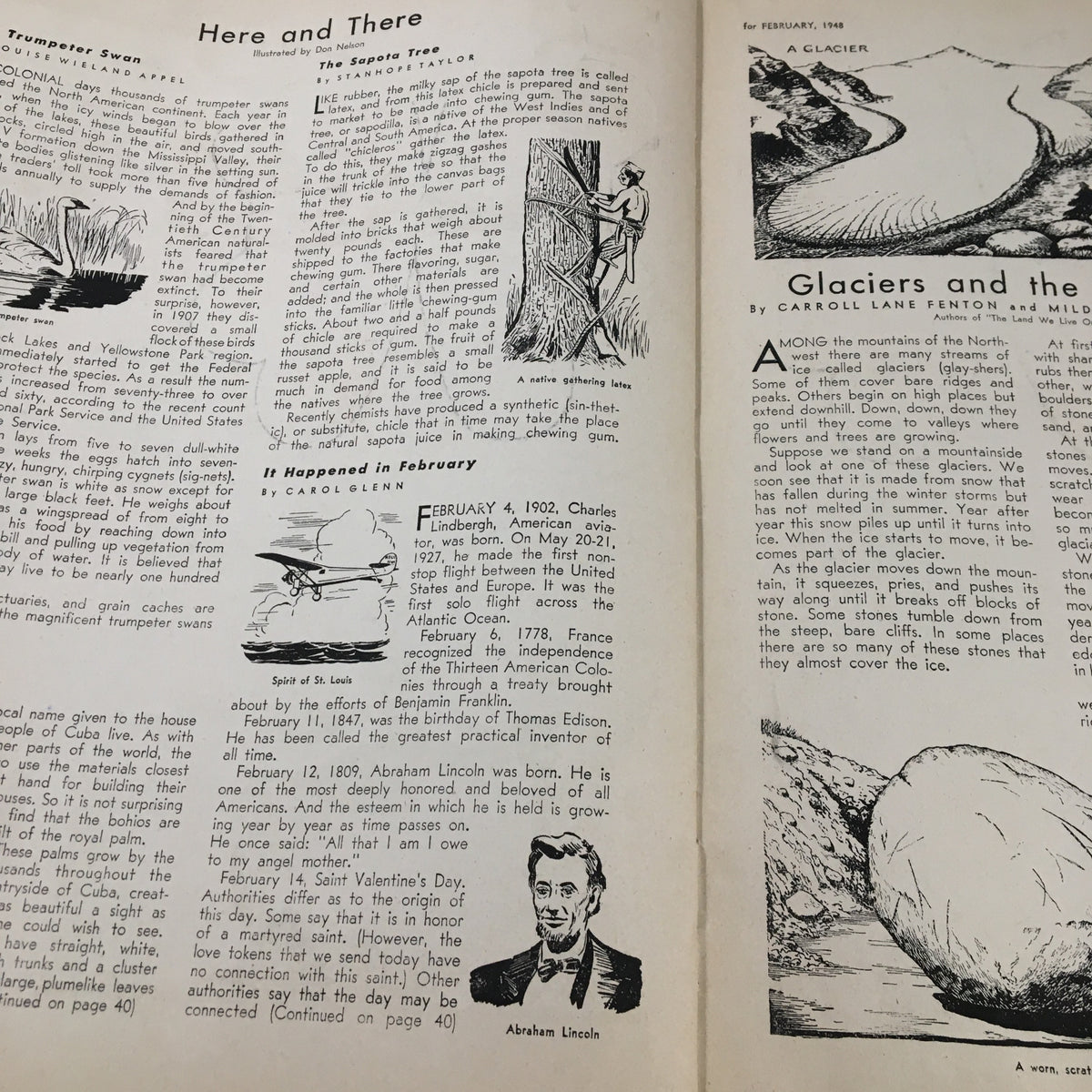 Children's Activities Magazine February 1948 page featuring illustrations and information on various topics including a Trumpeter Swan, the Sapota Tree, and historical events in February.