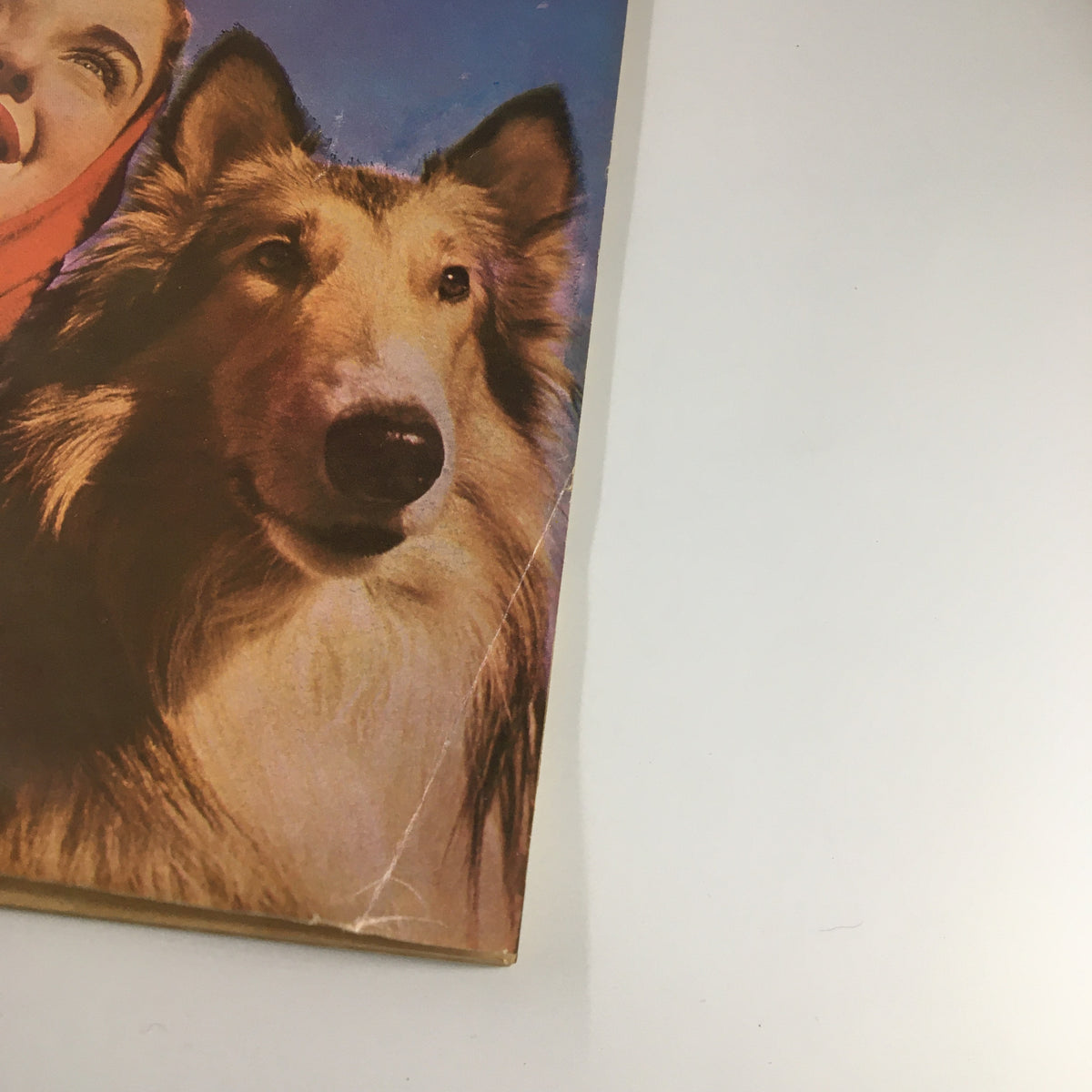 Close-up of the VTG Family Circle Magazine October 1948 cover highlighting the collie dog's face and the smiling woman.