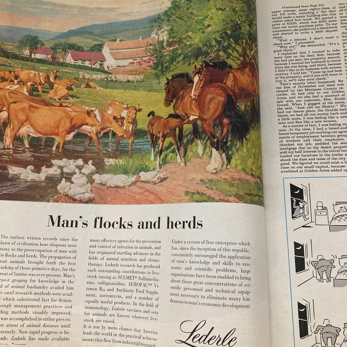 Artwork depicting a pastoral scene of cows, horses, and ducks near a stream, illustrating man's relationship with livestock. Featured in the Saturday Evening Post July 21 1951 Illustrated Cover by George Hughes.