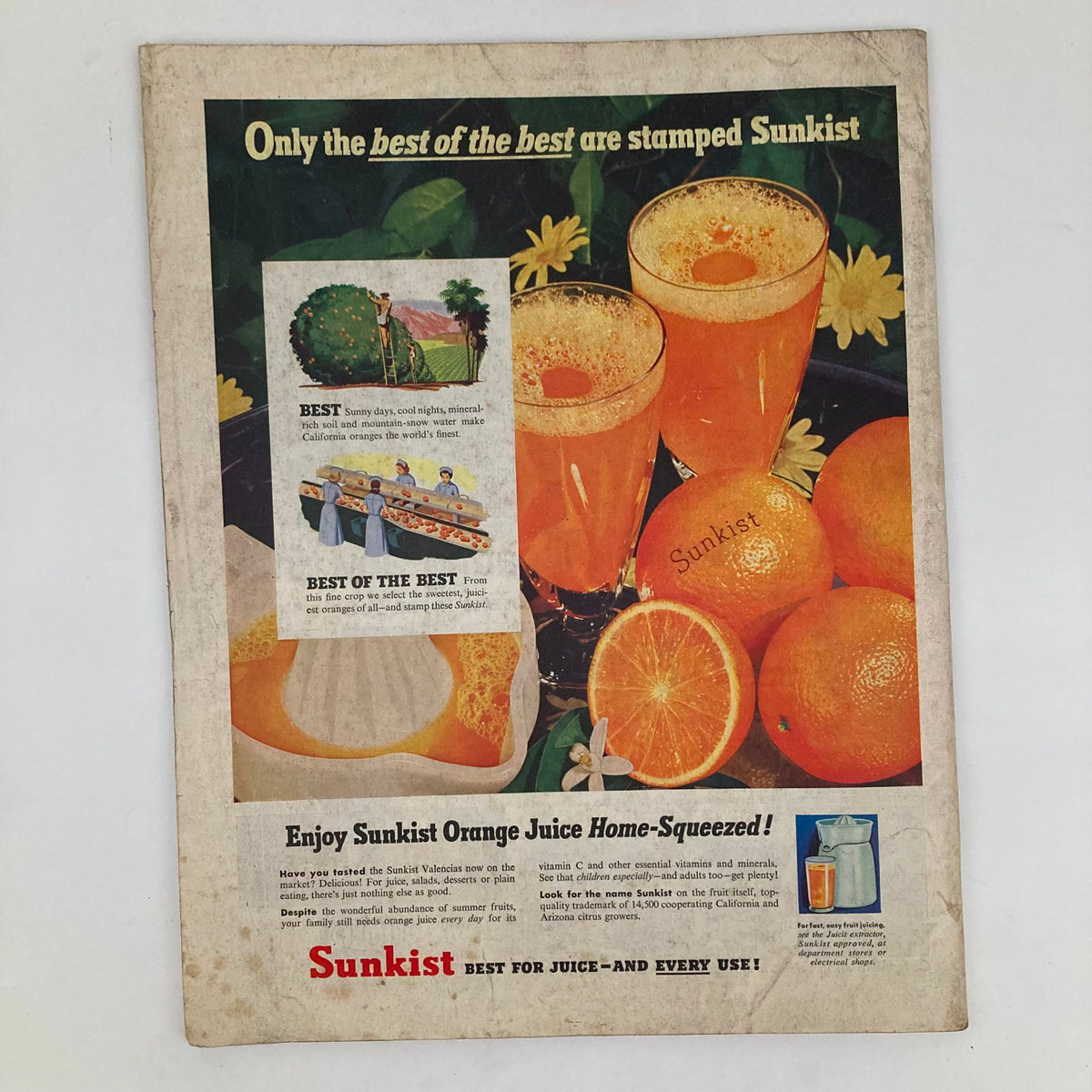 Retro advertisement for Sunkist orange juice on the back cover of Saturday Evening Post September 29 1951, featuring illustrated orange drinks and oranges with the slogan 'Only the best of the best are stamped Sunkist'.