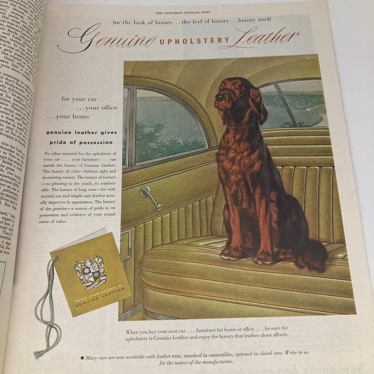 Vintage advertisement for Genuine Upholstery Leather, featuring a dog sitting in a luxurious car interior, published in the Saturday Evening Post Magazine May 31 1952.