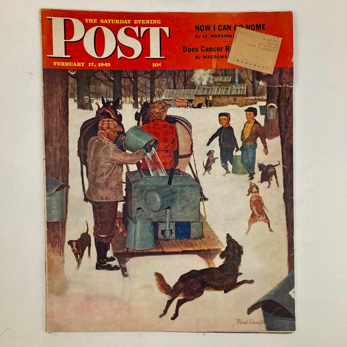 Cover of Saturday Evening Post Magazine February 17, 1945 featuring children and dogs in a winter scene, illustrated by Meade Schaeffer.