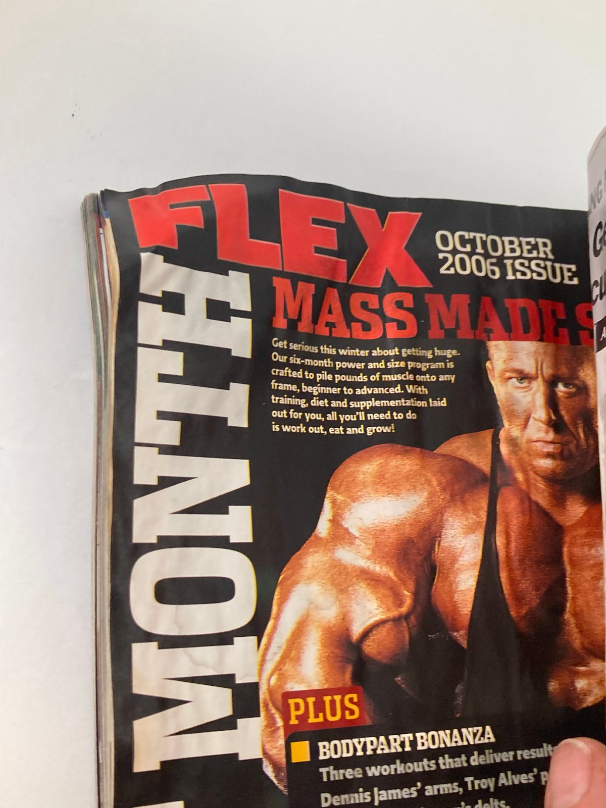 Cover page of Flex Magazine, October 2006 issue featuring the title 'FLEX' prominently, highlighting bodybuilder training insights and fitness tips.