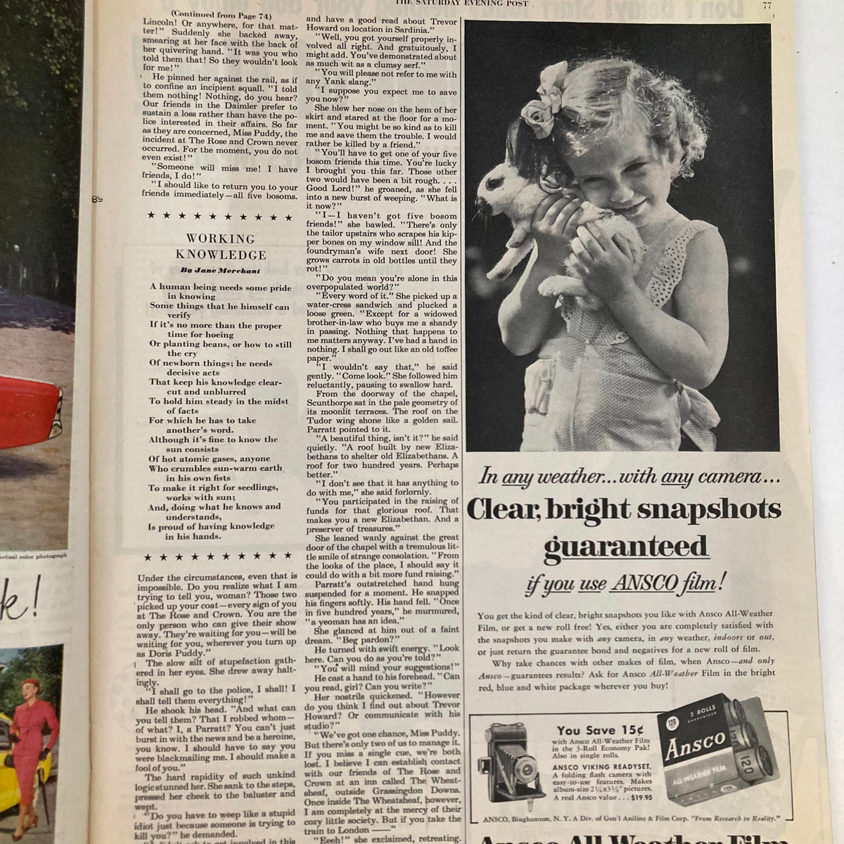 Inside page of Saturday Evening Post Magazine April 18 1953, showing a young girl holding a rabbit, alongside an advertisement for Ansco film with a promise of clear snapshots.