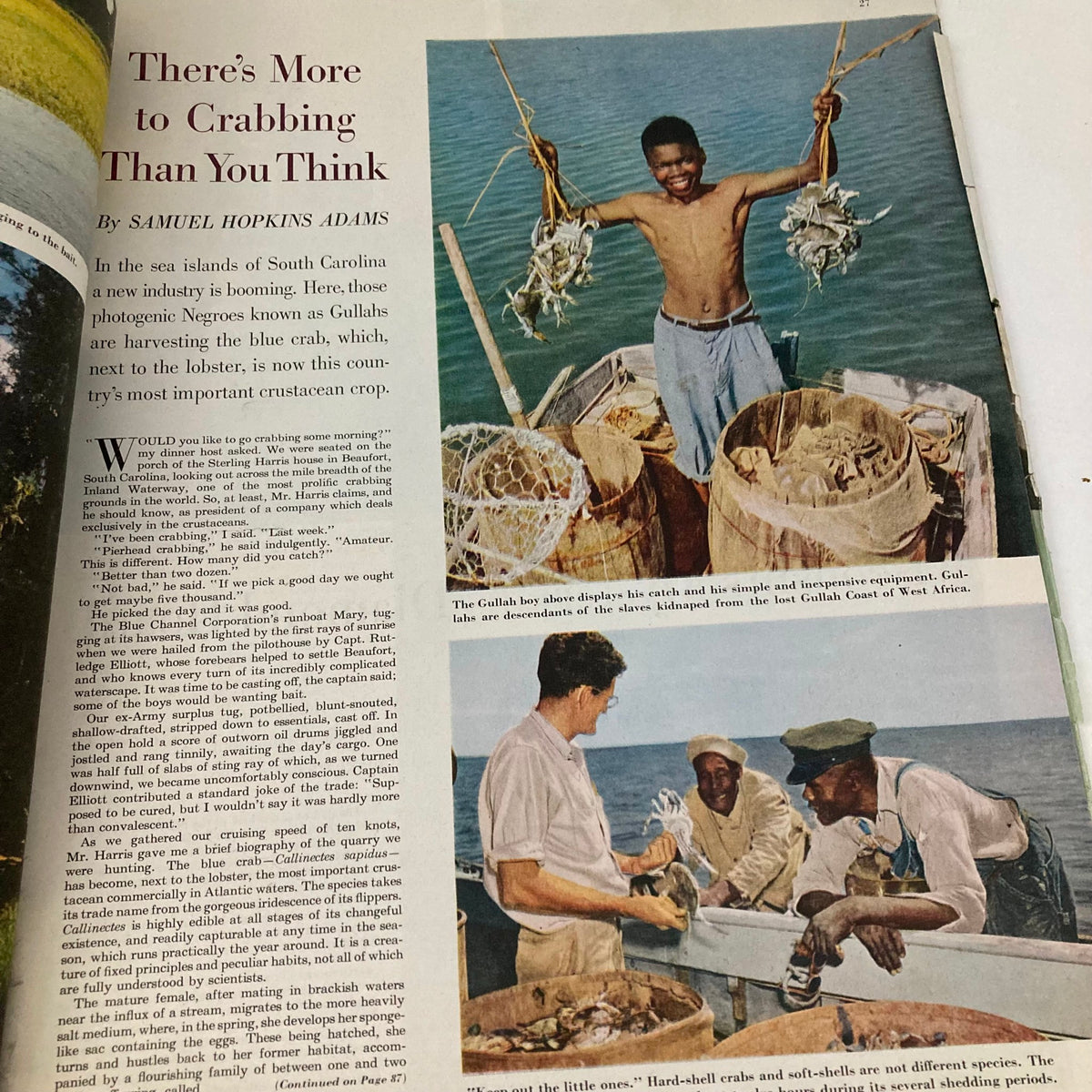 An article titled 'There's More to Crabbing Than You Think' from the Saturday Evening Post Magazine January 7, 1950, featuring a Gullah boy showcasing his catch of blue crabs while two men observe in a fishing boat, highlighting the crabbing industry in South Carolina.