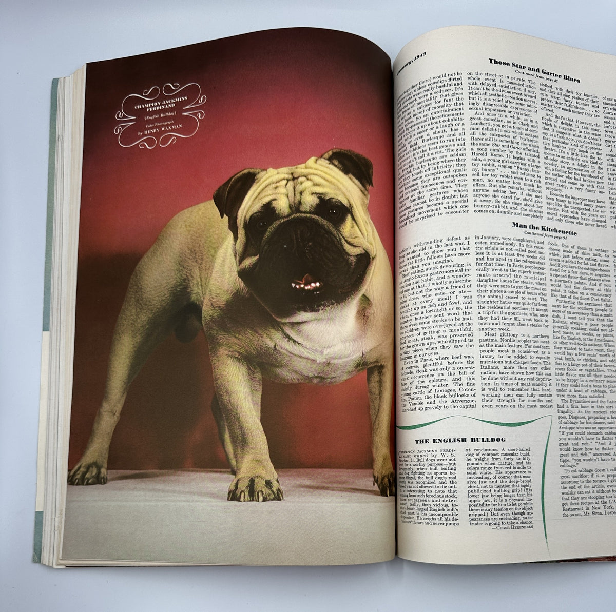 Esquire Magazine January 1943 showcasing a pug dog photograph with a colorful background, emphasizing the charm of the breed.