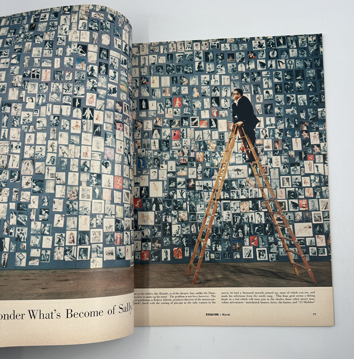 Full-page editorial image from Esquire Magazine March 1957 featuring a man on a wooden ladder looking at a collage of photographs displayed on a wall, part of the article 'I Wonder What’s Become of Sally?'.