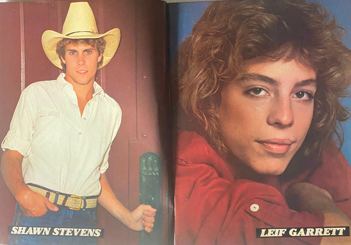 Color pin-up pages from February 1981 Tiger Beat Star Magazine highlighting Shawn Stevens and Leif Garrett, showcasing iconic 80s teen idol fashion.