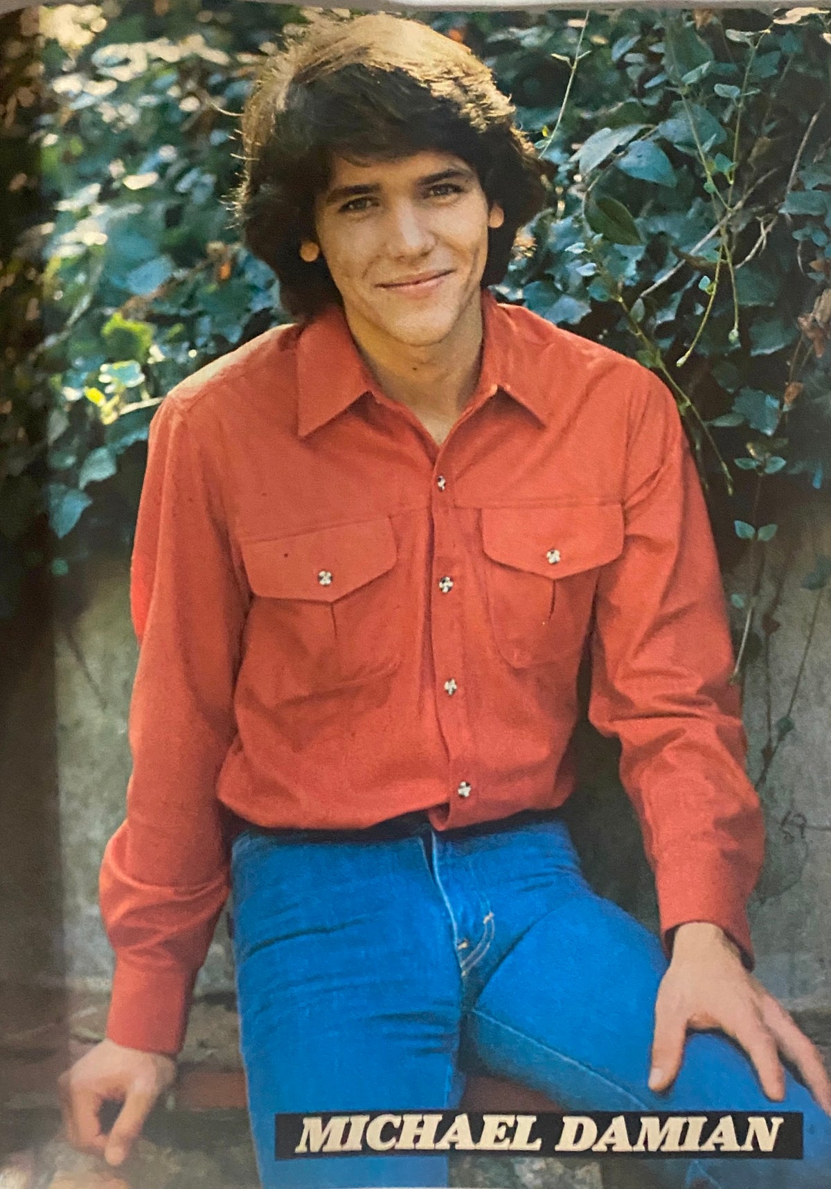 Color pin-up of Michael Damian from the February 1981 issue of Tiger Beat Star Magazine, capturing the youthful style and nostalgic essence of the era.