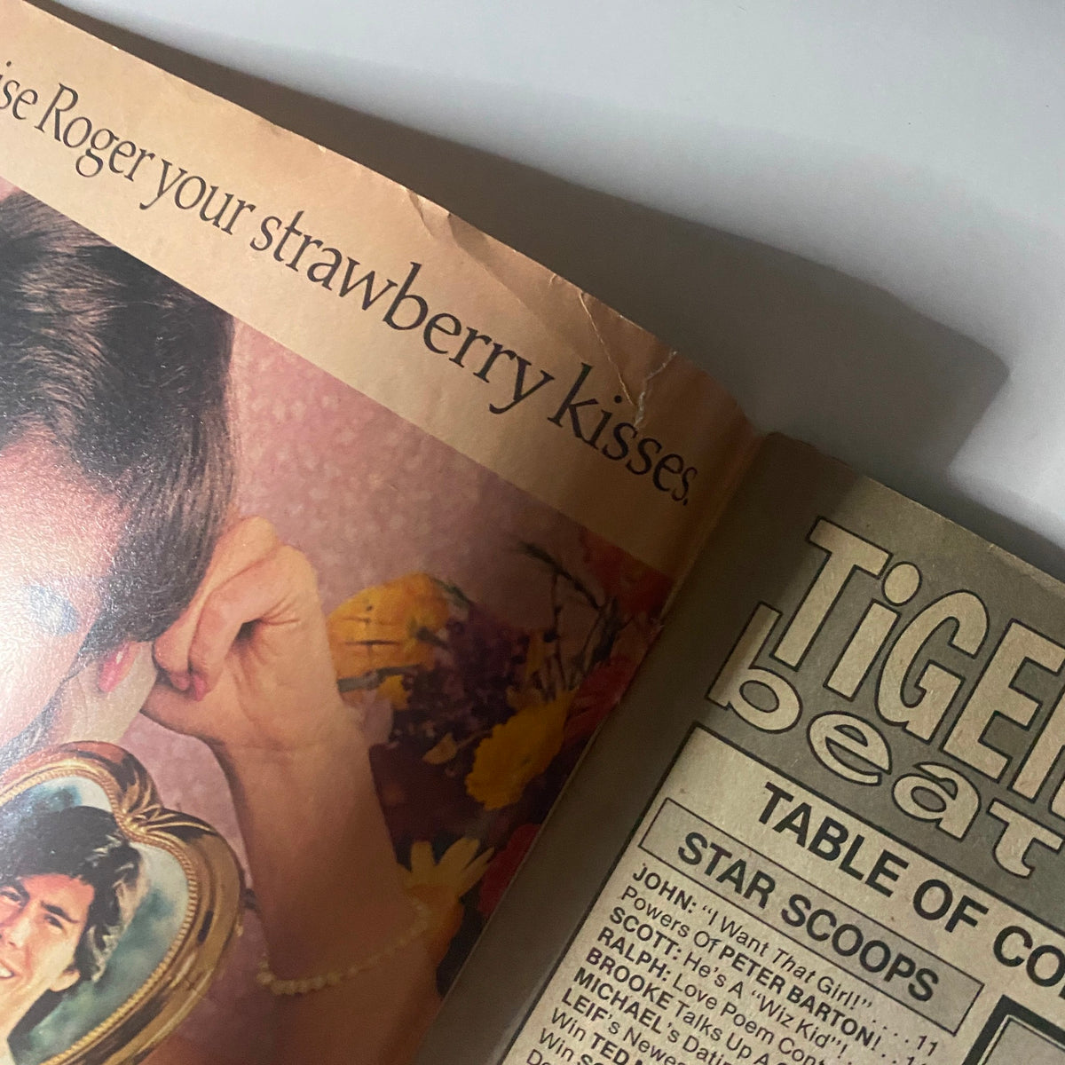 Close-up of an inside page from the Tiger Beat Star Magazine October 1981 displaying a nostalgic message and the magazine's title.