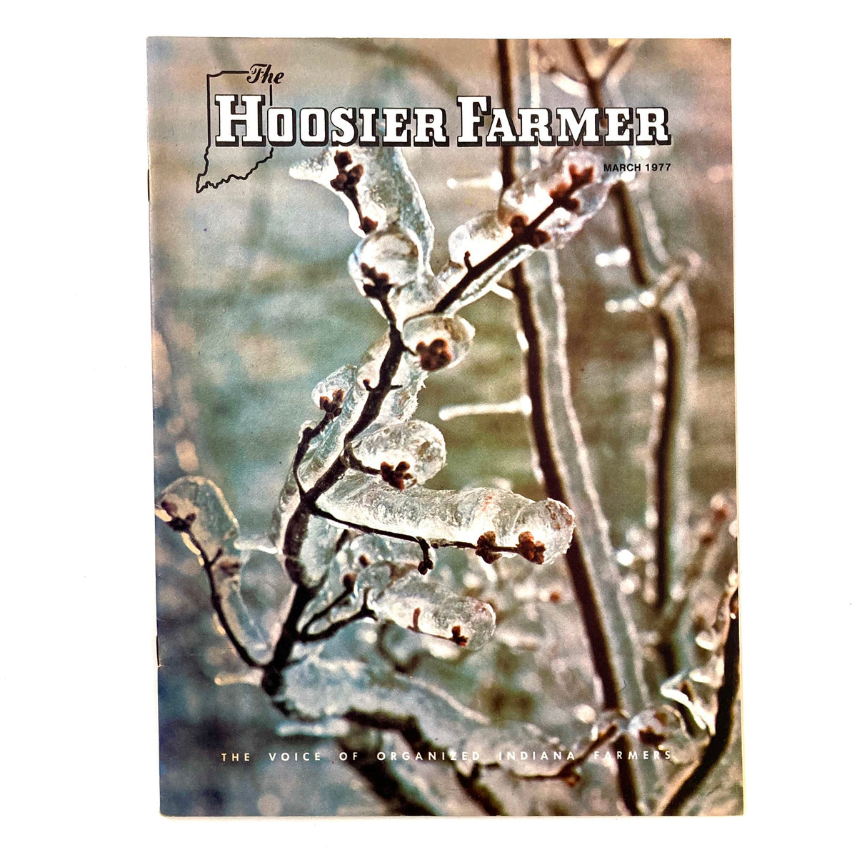 Cover of VTG The Hoosier Farmer Magazine March 1977 showcasing ice-covered branches, titled 'Spectacular Winter To Say The Least', reflecting the winter conditions faced by farmers.