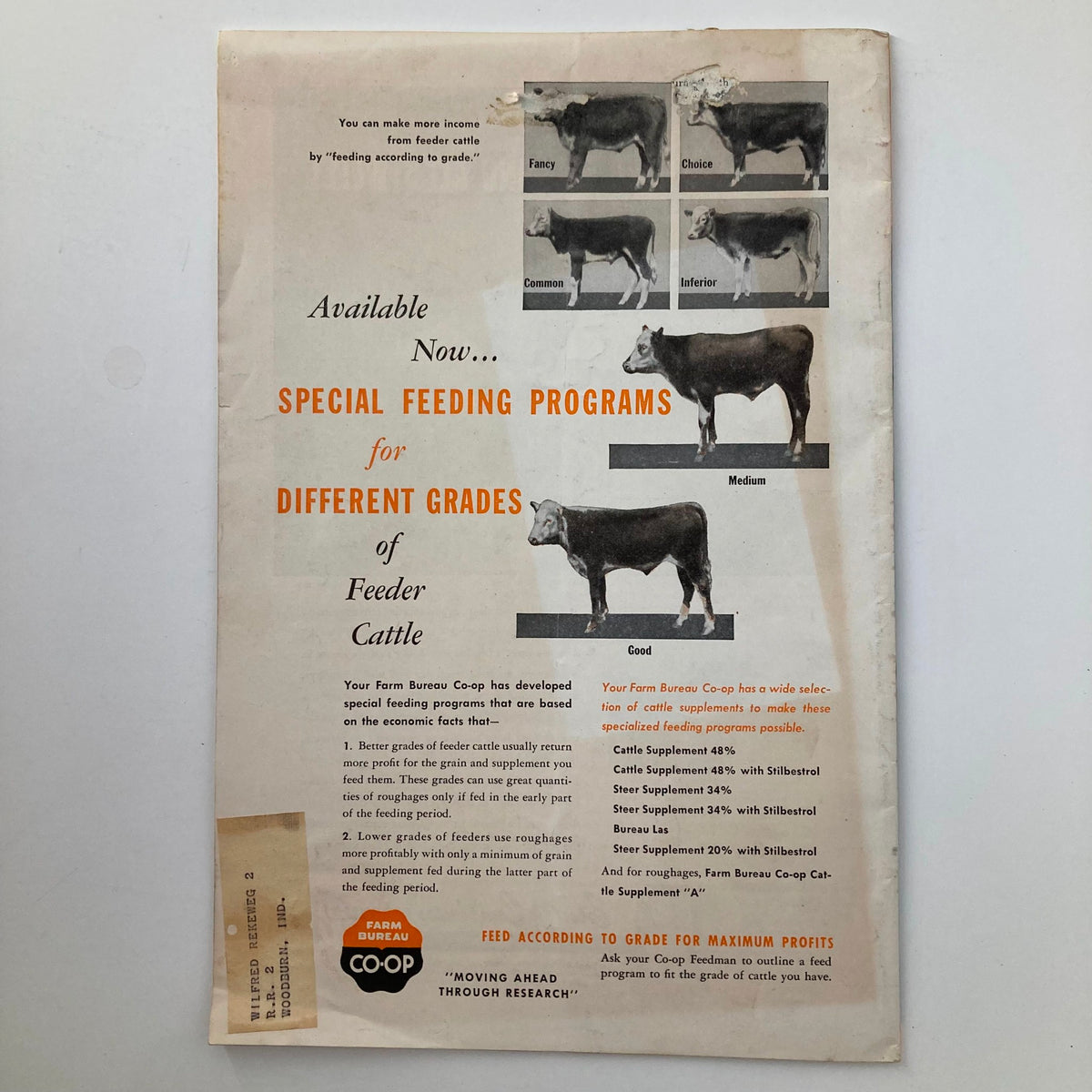 Back cover of VTG The Hoosier Farmer Magazine November 1956 advertising special feeding programs for different grades of feeder cattle.