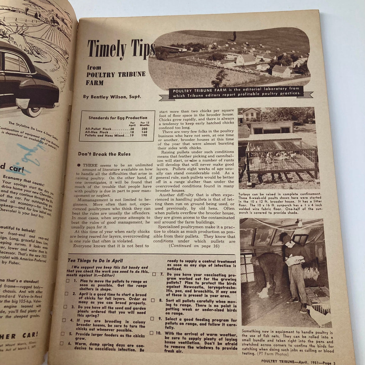 Interior page of Poultry Tribune Magazine April 1951 featuring tips on poultry farming and a photo of Poultry Tribune Farm. Includes discussions on egg production standards and practical advice for poultry farmers.