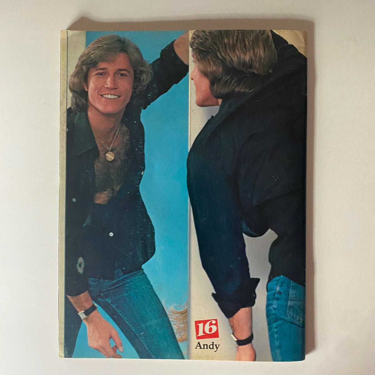 Inside of 16 Magazine September 1979 showcasing a color pinup of Andy, depicting 70s pop culture and music icons.