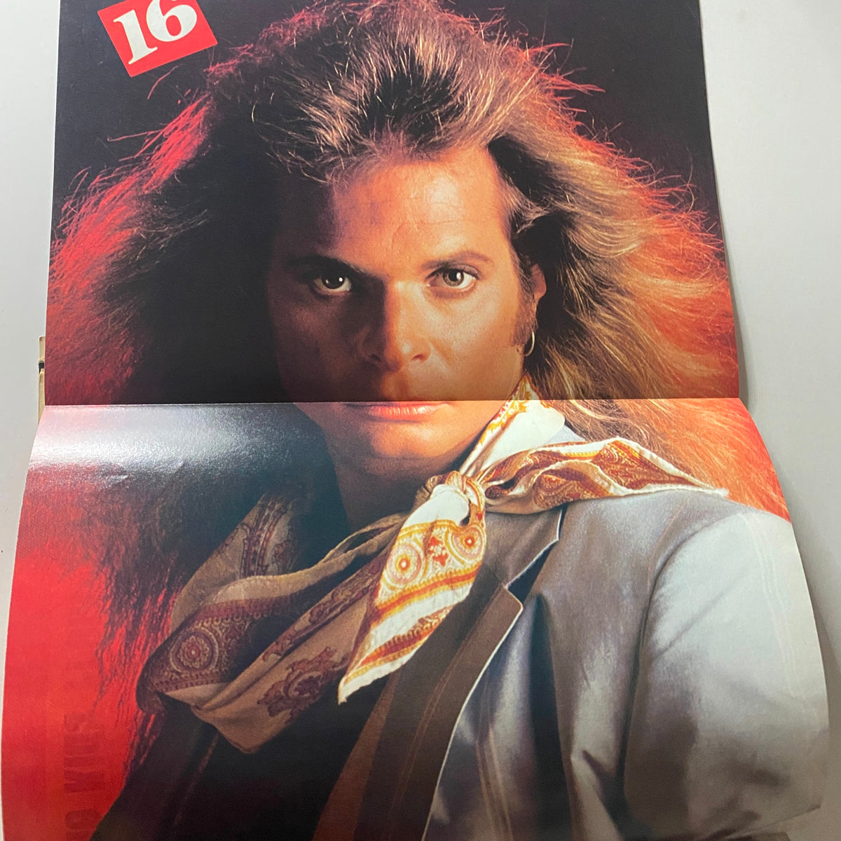 16 Magazine November 1982 - Dramatic photograph of David Lee Roth featuring his signature long hair and bold fashion in a centerfold poster.