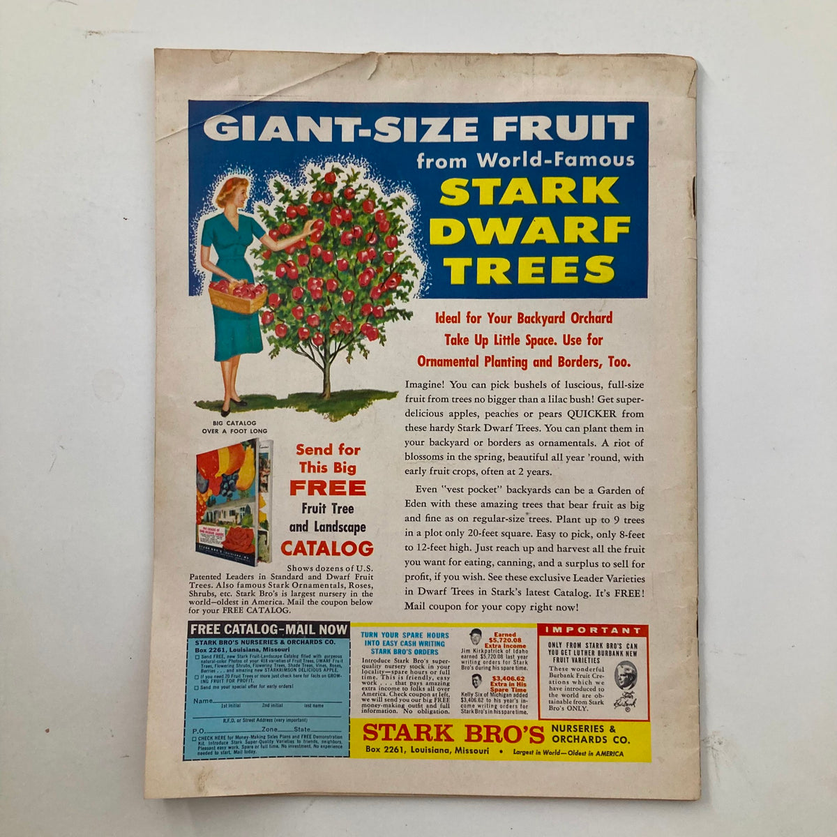 Back cover of Flower & Garden Magazine for Mid-America December 1960 featuring an advertisement for Stark Dwarf Trees, ideal for small backyard orchards.
