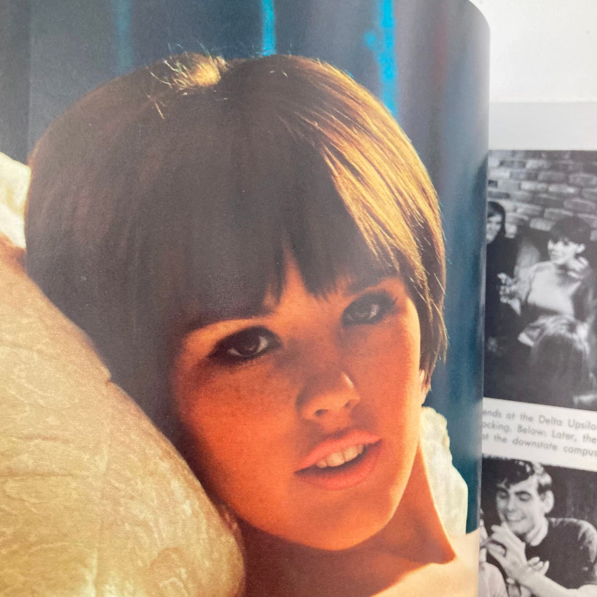 Dianne Chandler in a striking portrait from the vintage Playboy Magazine September 1966, highlighting her beauty and elegance as a centerfold.